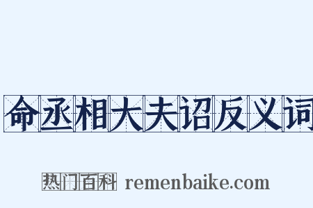 命丞相大夫诏反义词是什么意思的图片